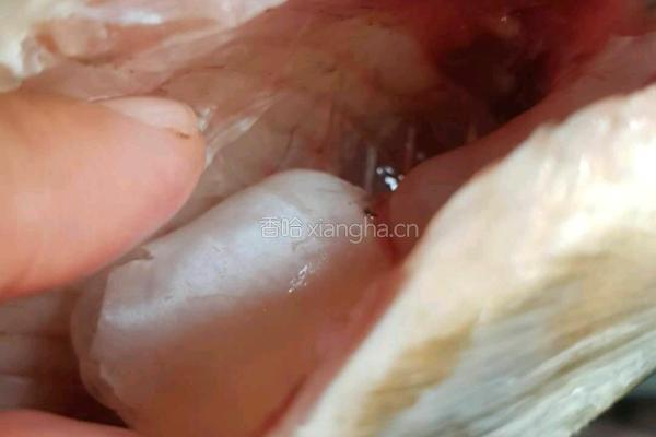 野生鲤鱼豆腐汤的做法图解3