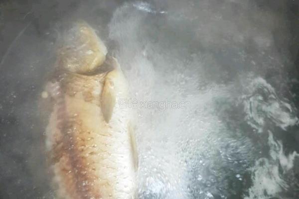 野生鲤鱼豆腐汤的做法图解6