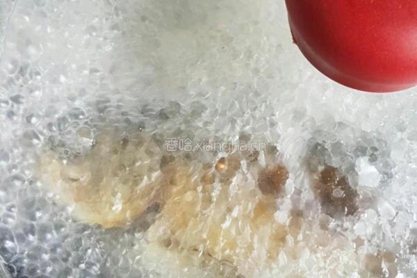 野生鲤鱼豆腐汤的做法图解7