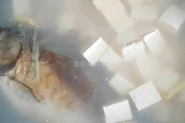 野生鲤鱼豆腐汤的做法图解9