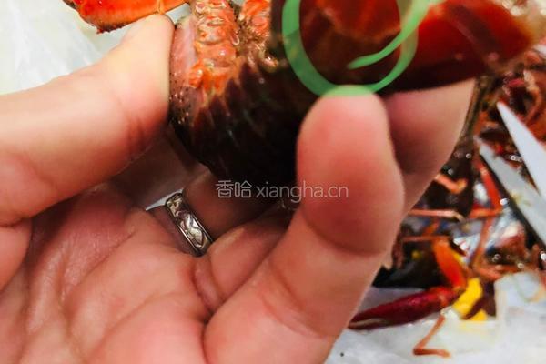 麻辣小龙虾的做法图解3