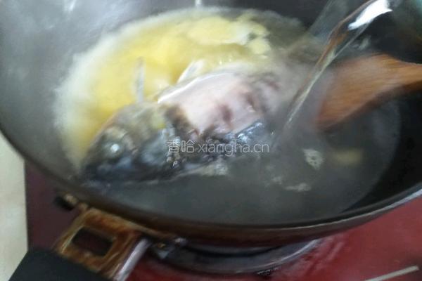 鲫鱼豆腐汤的做法图解5