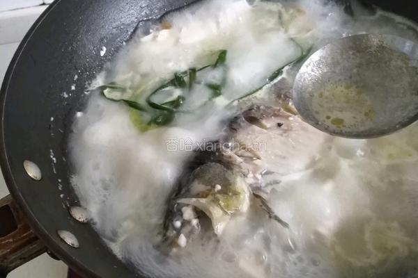 鲫鱼豆腐汤的做法图解9