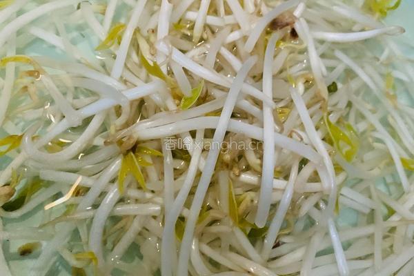 豆芽炒宽粉的做法图解1