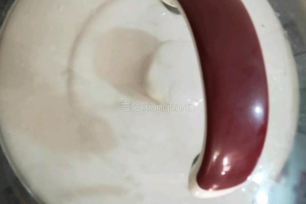 虎乳菌石斛海底椰排骨汤的做法图解4