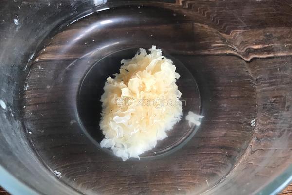 红枣莲子银耳汤的做法图解1