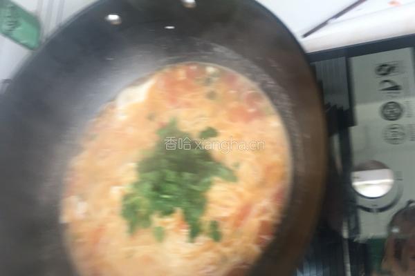 家庭版鸡蛋柿子面的做法图解12