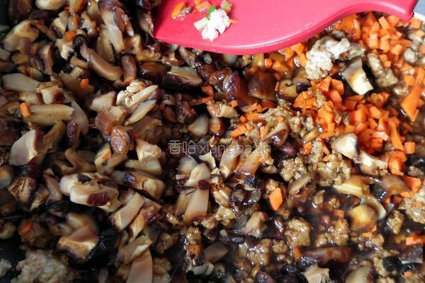 馄饨皮烧麦馅煎饼的做法图解10