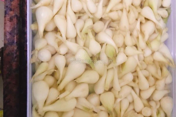 剁椒腌茭头的做法图解2