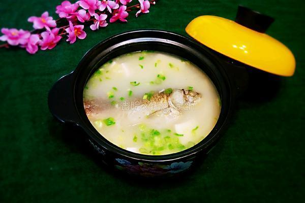 鲫鱼豆腐汤的做法图解16