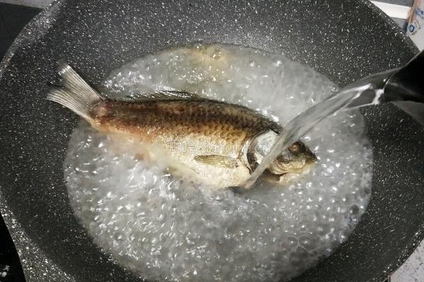 鲫鱼豆腐汤的做法图解7