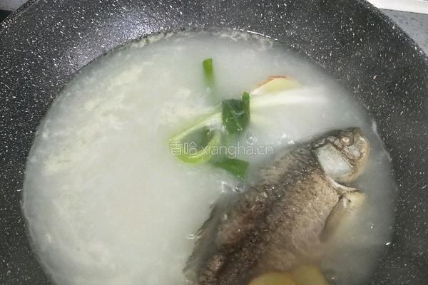 鲫鱼豆腐汤的做法图解10