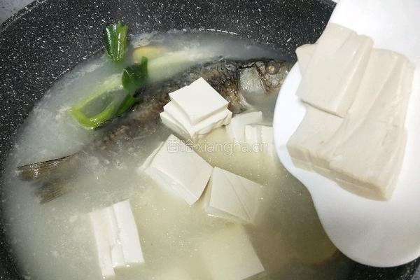 鲫鱼豆腐汤的做法图解11
