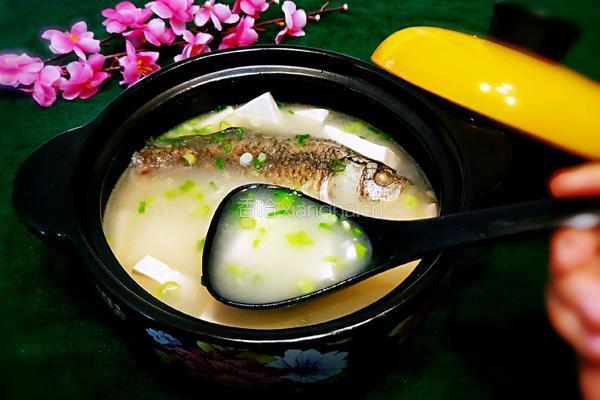 鲫鱼豆腐汤的做法图解17