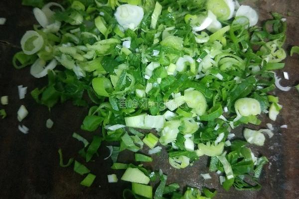 豆腐杂蔬饼的做法图解6