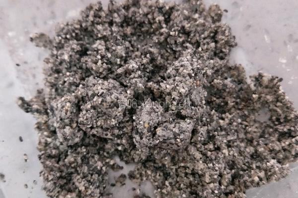 黑芝麻馅的做法图解12