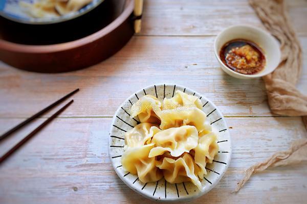 夏季祛湿 冬瓜猪肉馅儿饺子的做法图解14