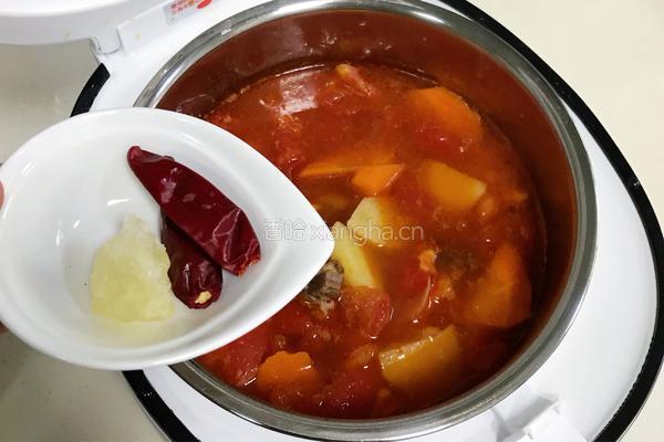 番茄土豆牛腩汤的做法图解12
