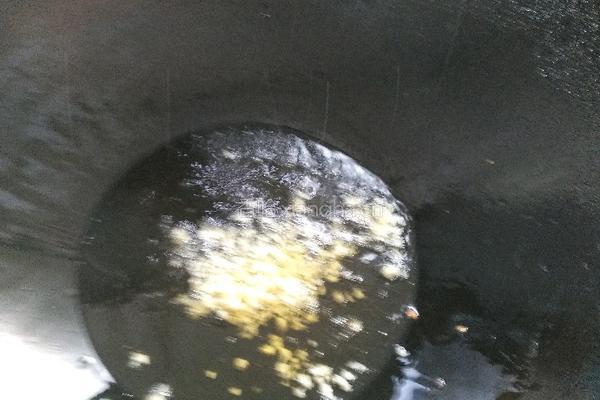 饭豆介菜的做法图解5