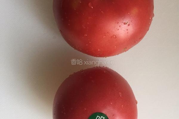 番茄斑节虾仁焗饭的做法图解3