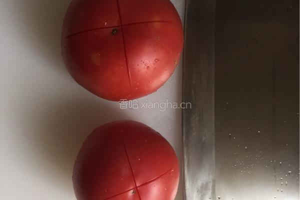 番茄斑节虾仁焗饭的做法图解4