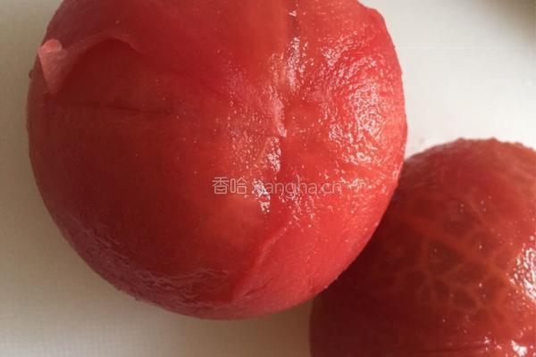 番茄斑节虾仁焗饭的做法图解6