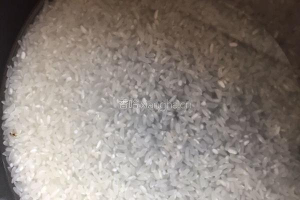 番茄斑节虾仁焗饭的做法图解8