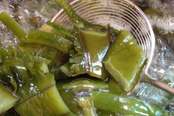凉拌海白菜的做法图解1