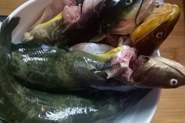 红烧昂刺鱼的做法图解1