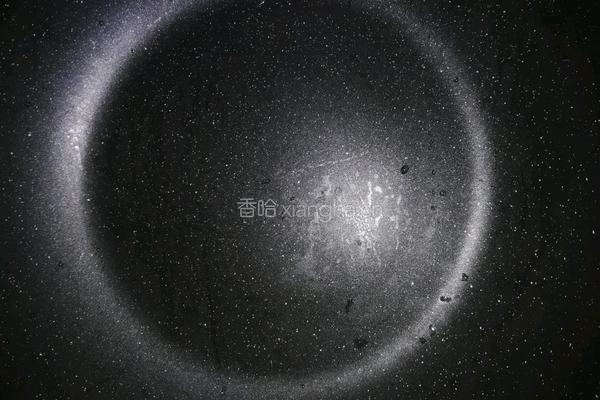 酥皮手抓饼的做法图解1