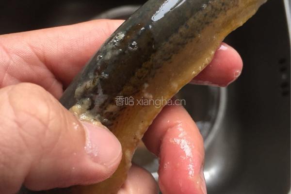 白胡椒黄鳝汤的做法图解3