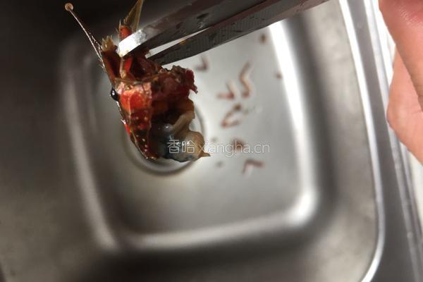 原味红烧小龙虾的做法图解7