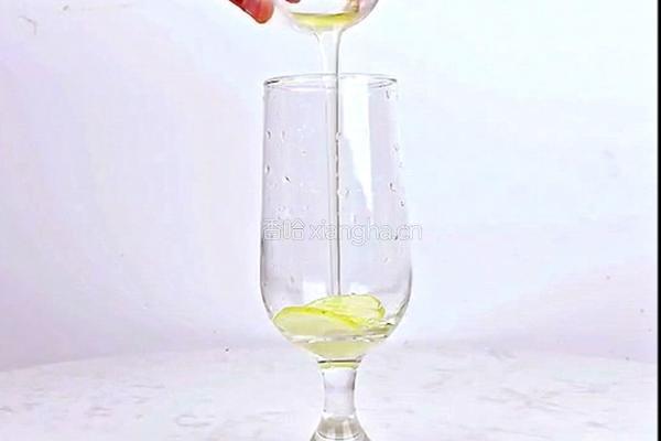 微醺海洋柠檬的做法图解4