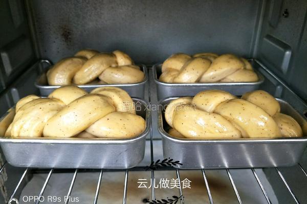 红枣辫子小吐司面包的做法图解17