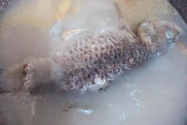 鲫鱼豆腐汤的做法图解3