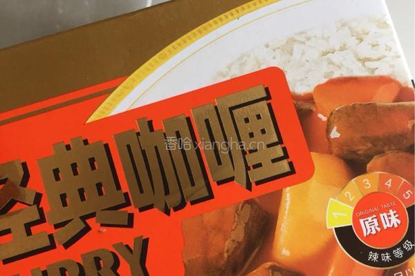 黑咖喱鸡腿丁的做法图解11