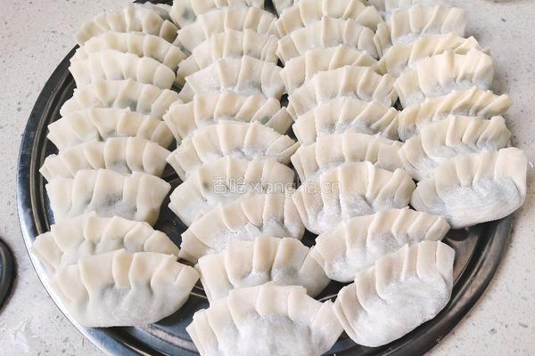韭菜土豆丝饺子的做法图解6