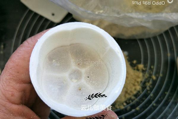 老北京绿豆糕的做法图解12