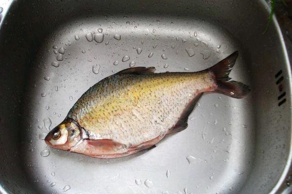 柠檬黄豆蒸鳊鱼的做法图解1