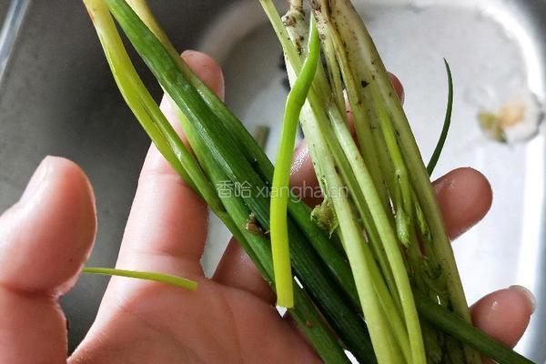 柠檬黄豆蒸鳊鱼的做法图解9