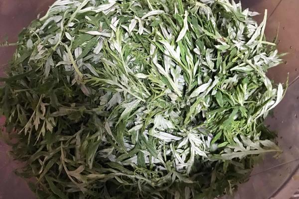 艾草粑粑（青团）的做法图解1