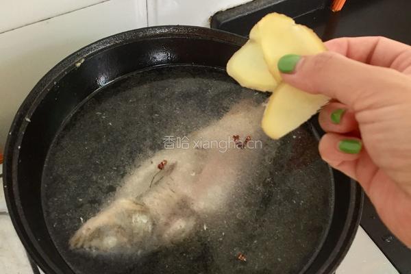清炖鲫鱼的做法图解5