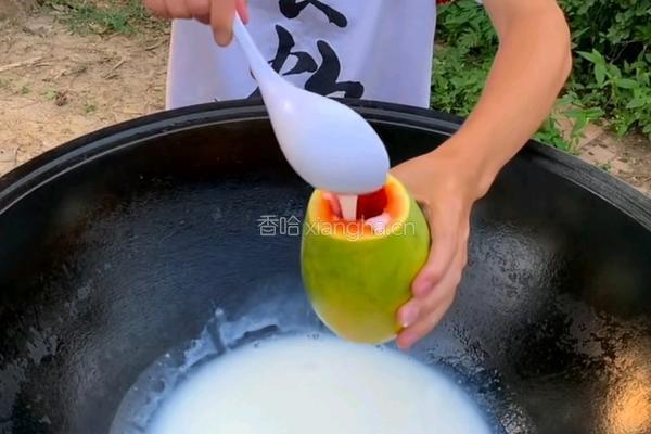 牛奶木瓜的做法图解4