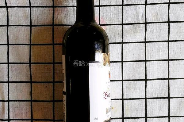 法式红酒炖牛肉的做法图解7