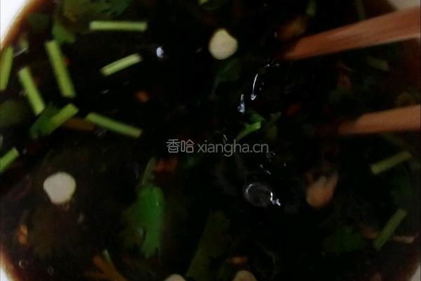 酸汤水饺的做法图解9