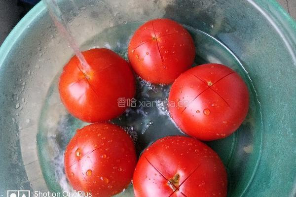 番茄酱的做法图解4