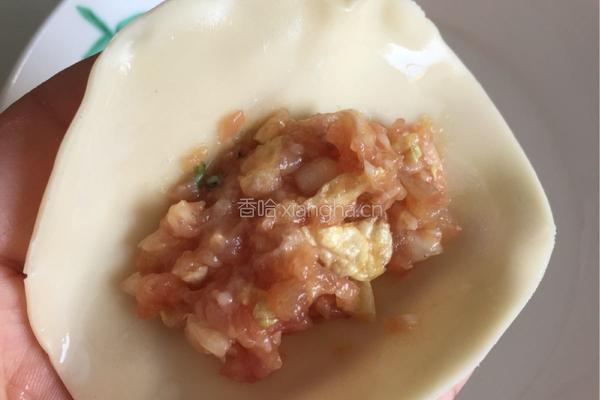 白菜猪肉虾仁水饺的做法图解8