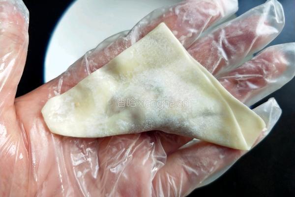 茄汁鲜肉馄饨的做法图解12