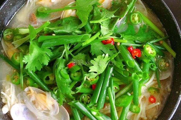 花甲粉丝煲
