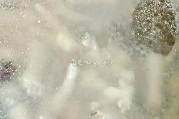 凉拌鸡爪的做法图解7